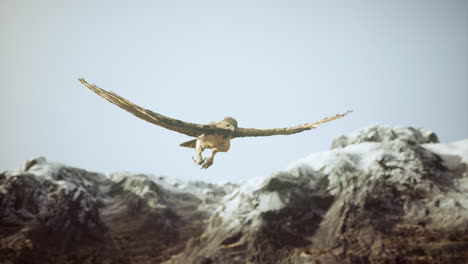 Extreme-Zeitlupenaufnahme-Eines-Adlers